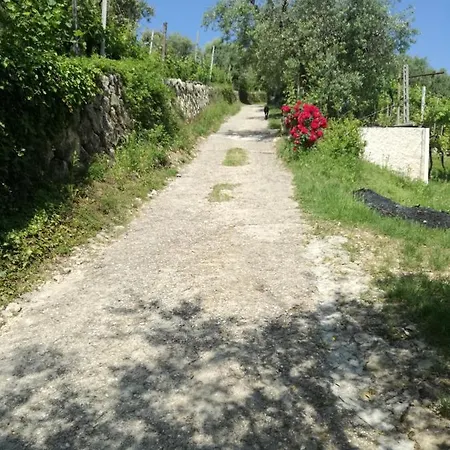 Uno Sguardo Sulla Valpolicella *