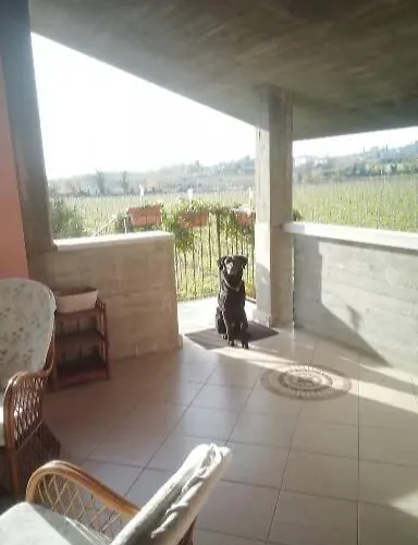 公寓 Uno Sguardo Sulla Valpolicella