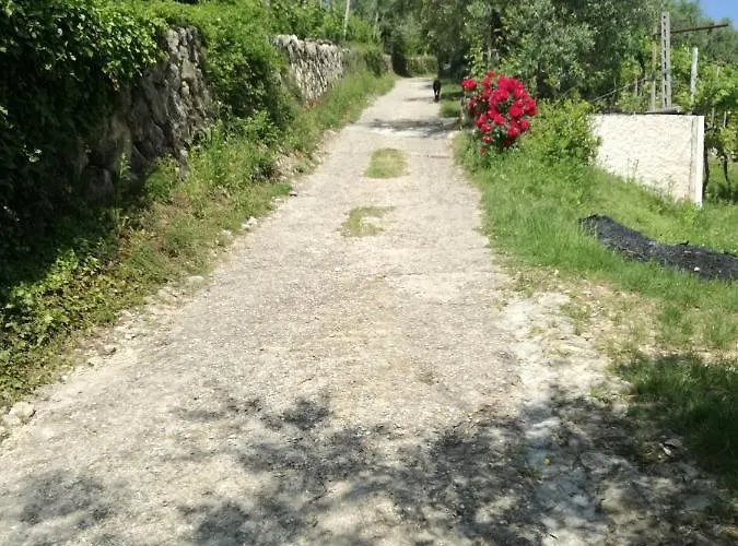 Uno Sguardo Sulla Valpolicella *
